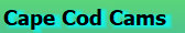 jerrys_world2016001043.jpg