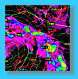 jerrys_world2016002009.jpg