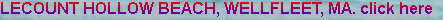 jerrys_world2016004001.jpg
